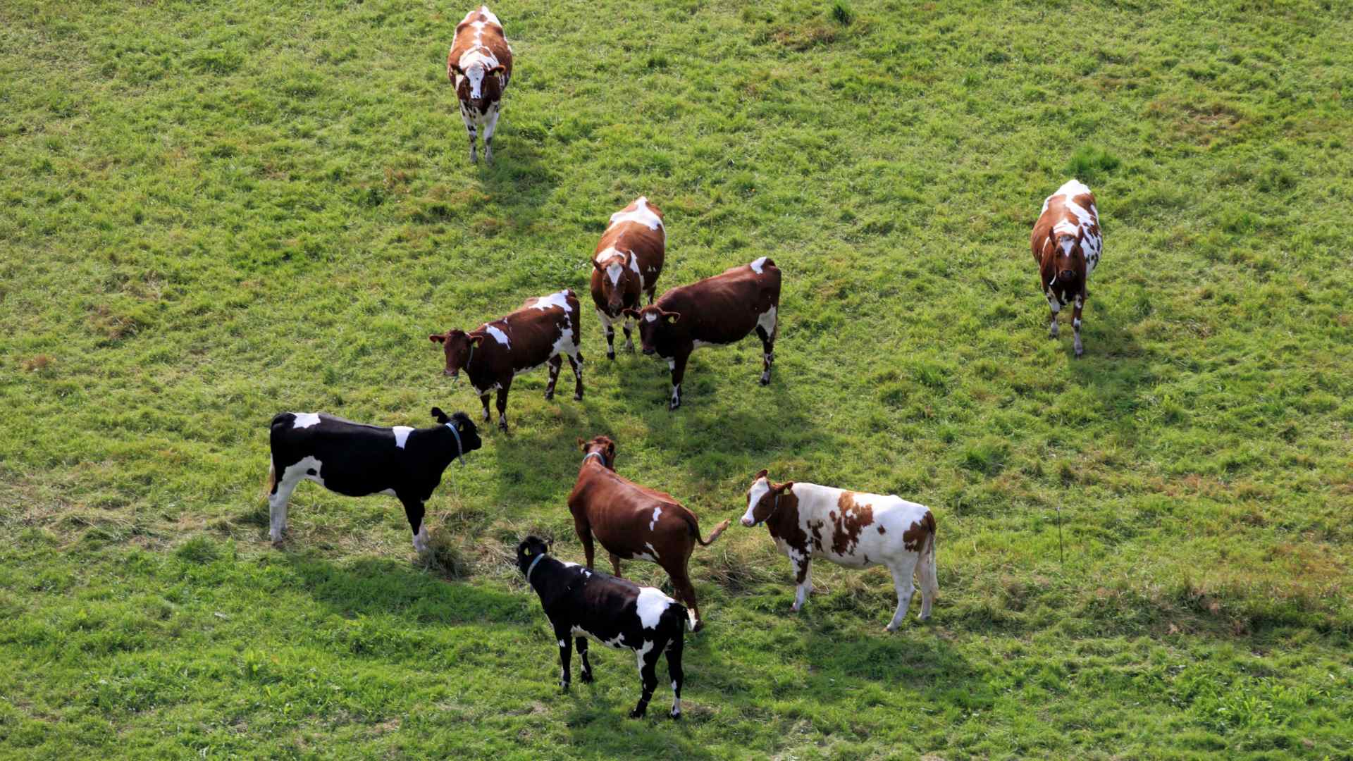 La via del ricorso è una scelta sbagliata