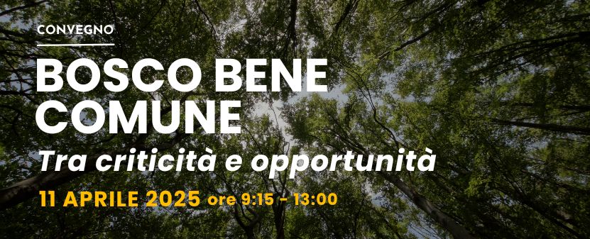 Bosco bene comune: tra criticità e opportunità