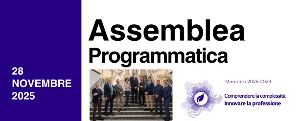 Assemblea programmatica