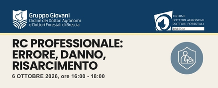 RC Professionale: errore, danno, risarcimento