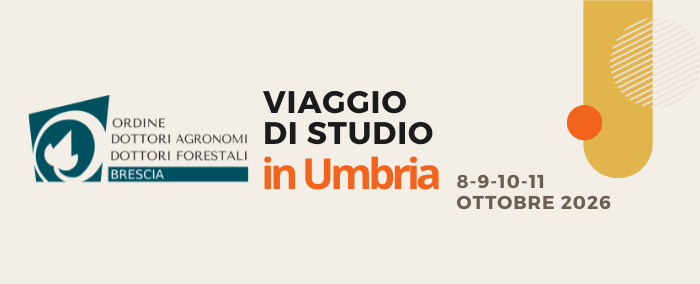 Viaggio studio in Umbria